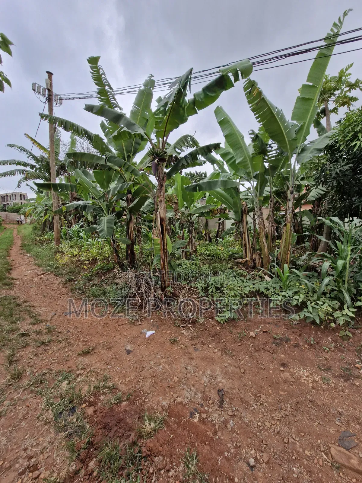 Sonde Hill View 50x70 Plot for Sale in Central Division