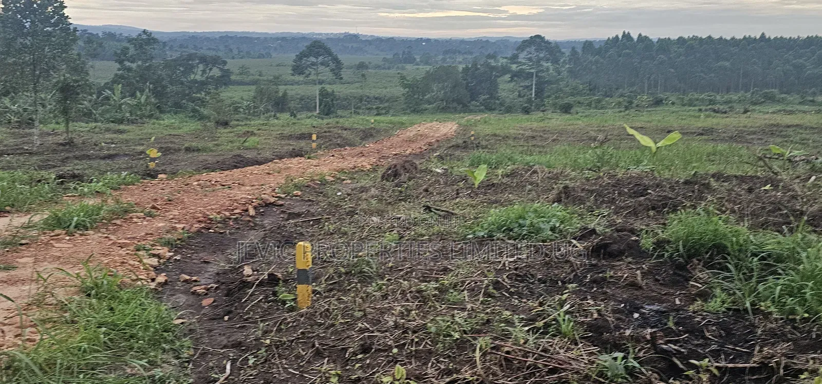 Discounted Plots Available for Sale in Wakiso / Wakiso