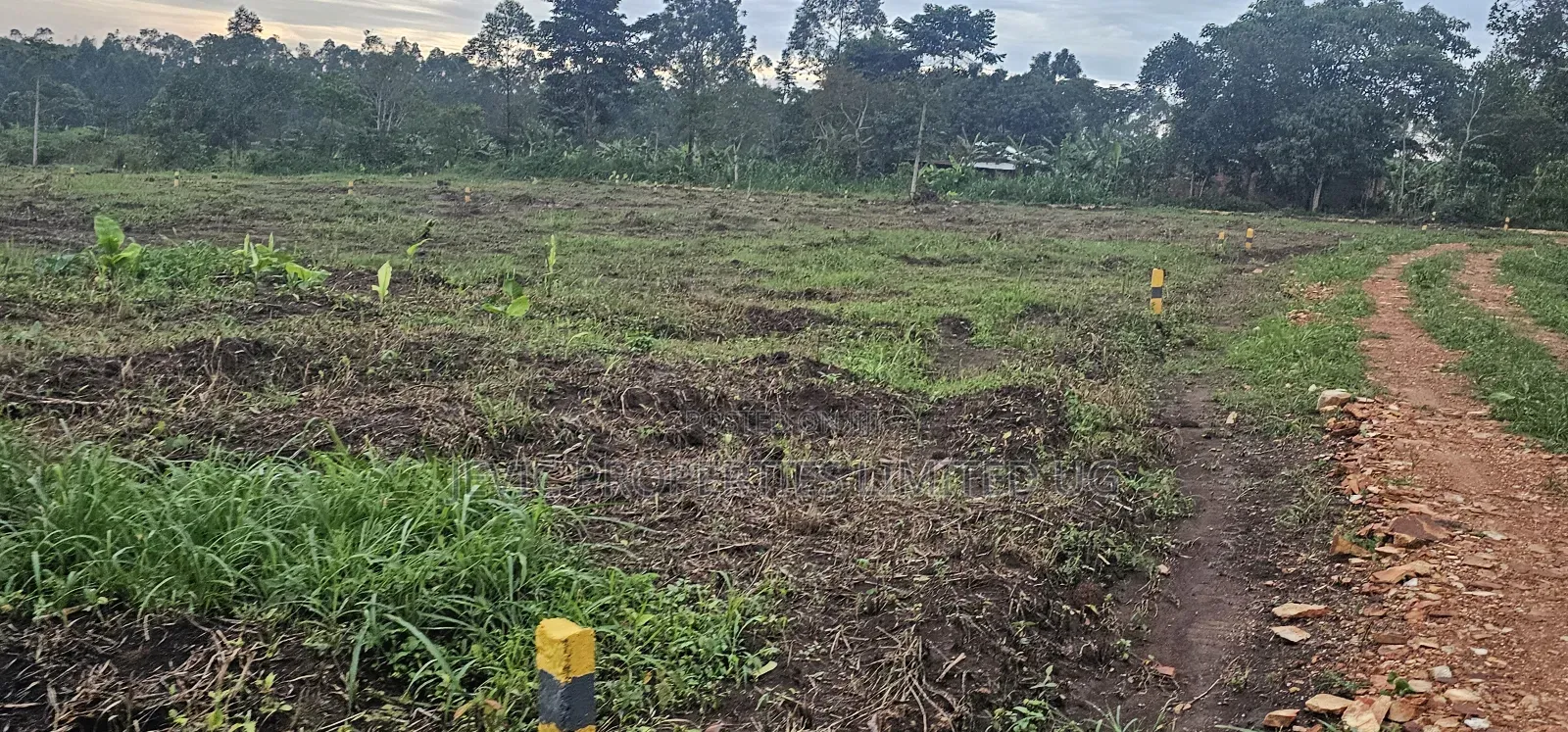 Discounted Plots Available for Sale in Wakiso / Wakiso