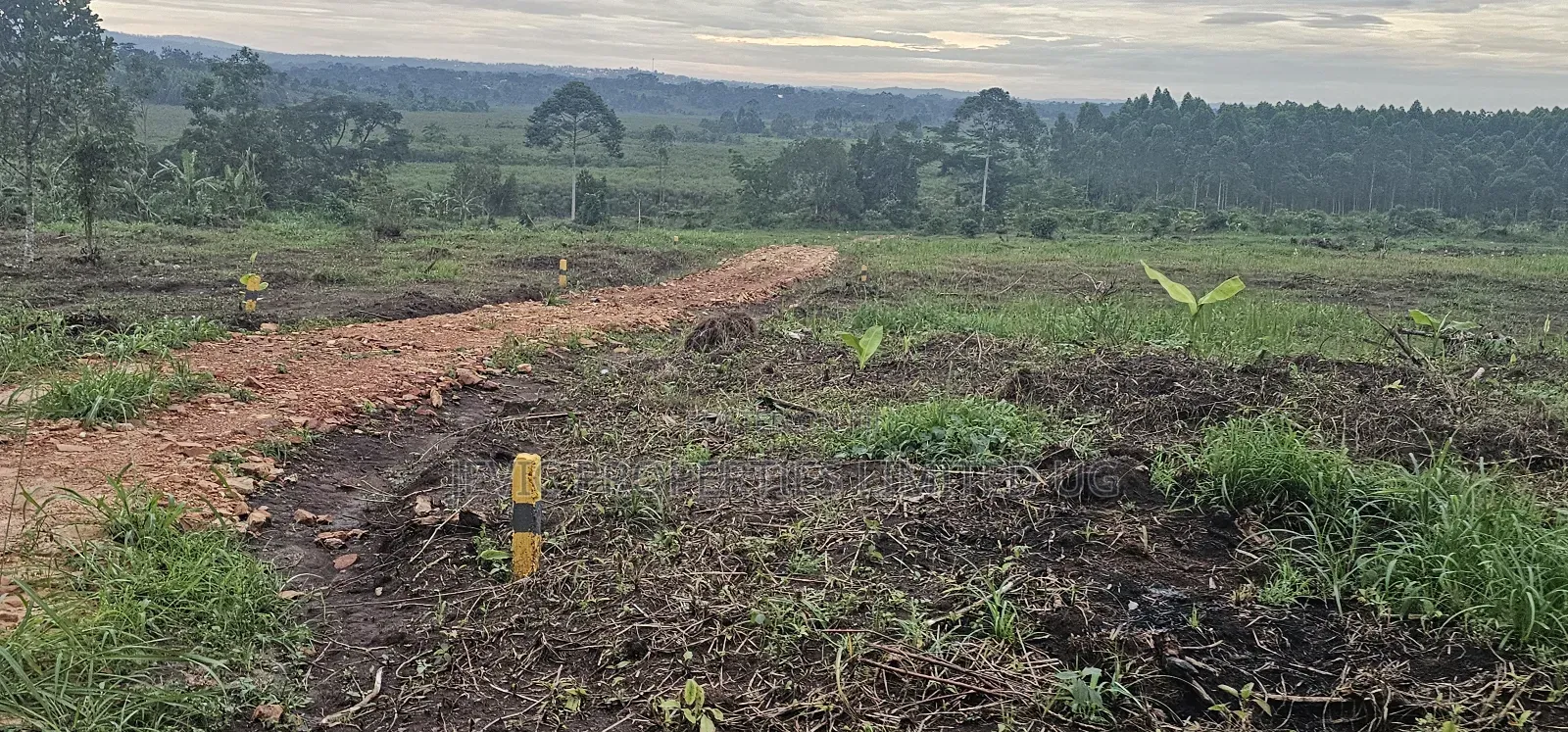 Discounted Plots Available for Sale in Wakiso / Wakiso