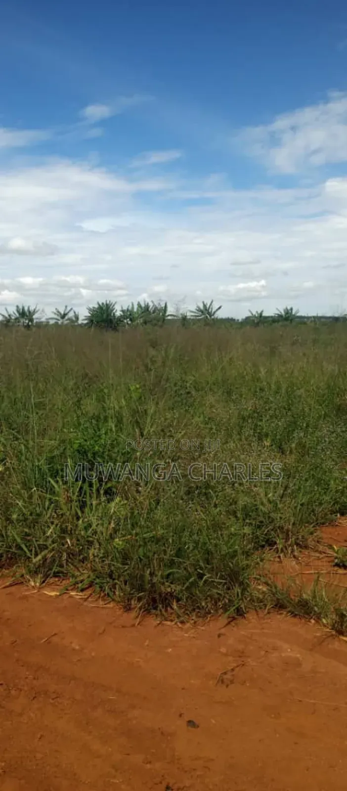 Land on Sale in Zirobwe Road Bulami in Luwero / Luwero