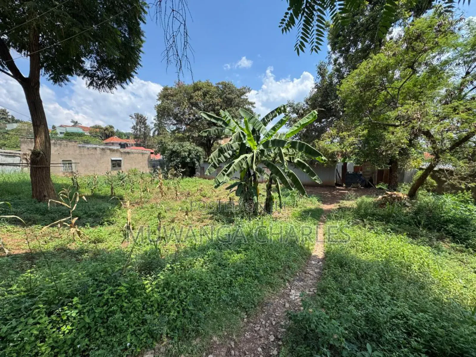 Land on Sale in Zirobwe Road Bulami in Luwero / Luwero