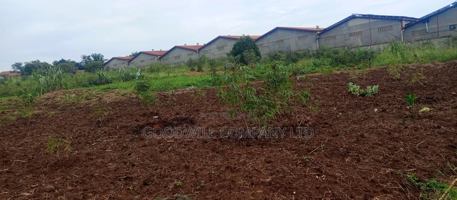 18 Acres of Land in Buto Bweyogerere in Central Division