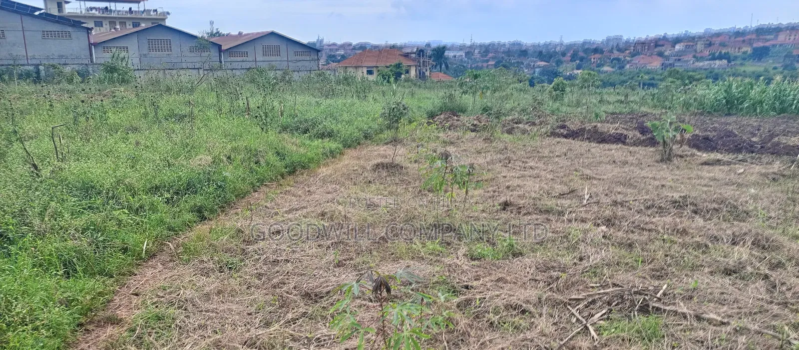 18 Acres of Land in Buto Bweyogerere in Central Division