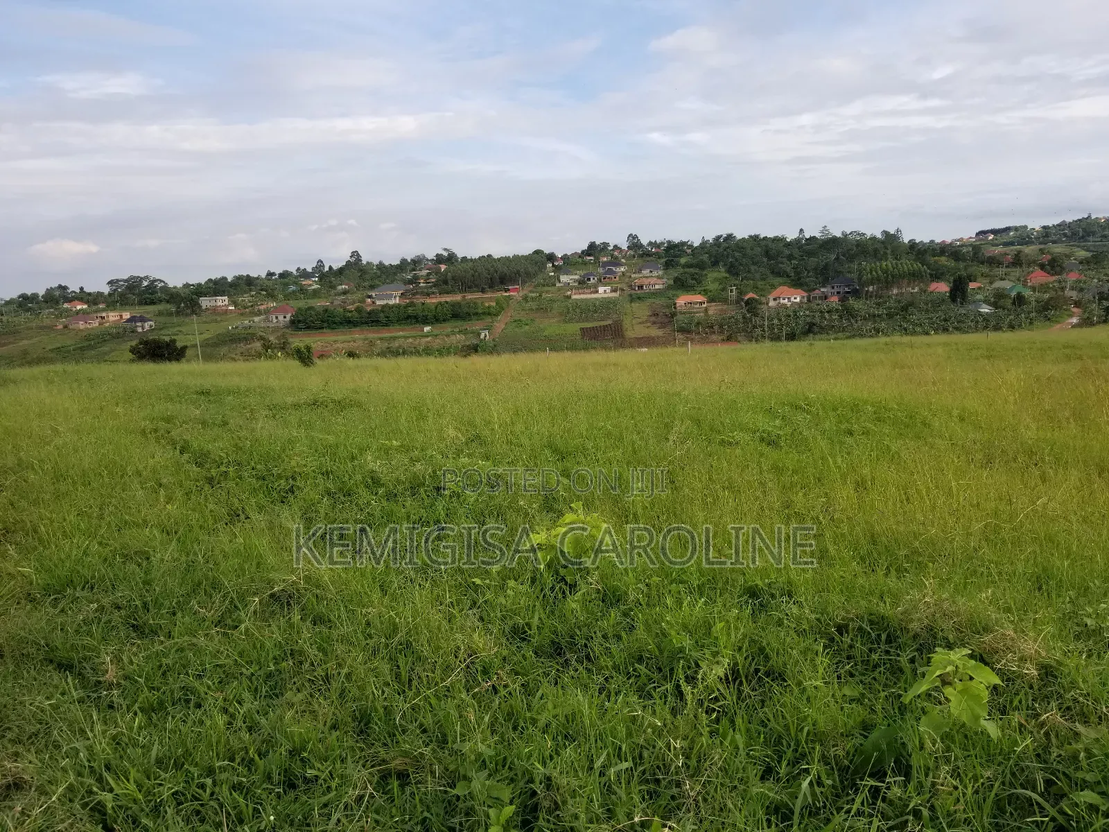 50*100ft Titled Plots For Sale In Bujjuuko in Wakiso / Wakiso