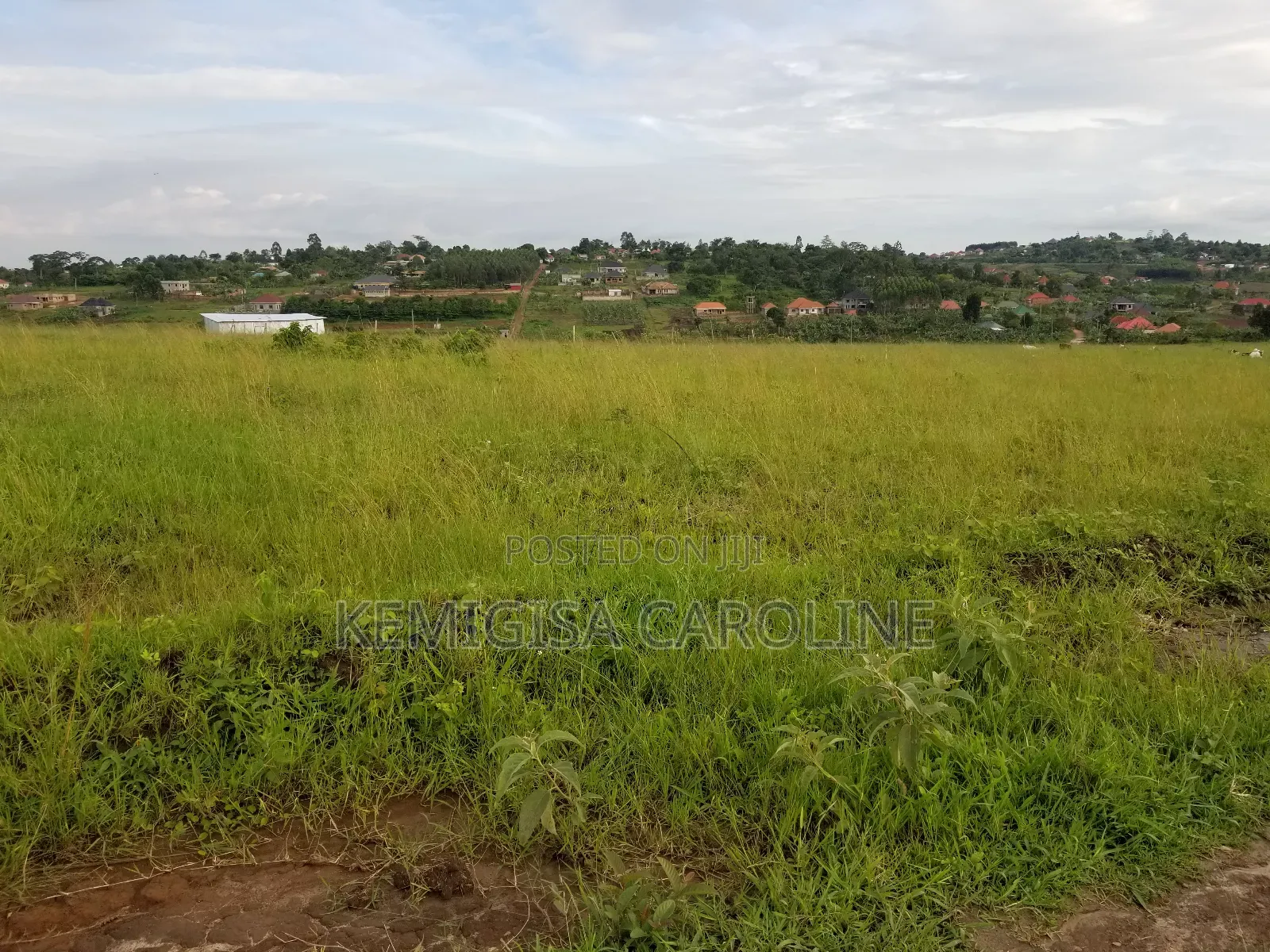 50*100ft Titled Plots For Sale In Bujjuuko in Wakiso / Wakiso