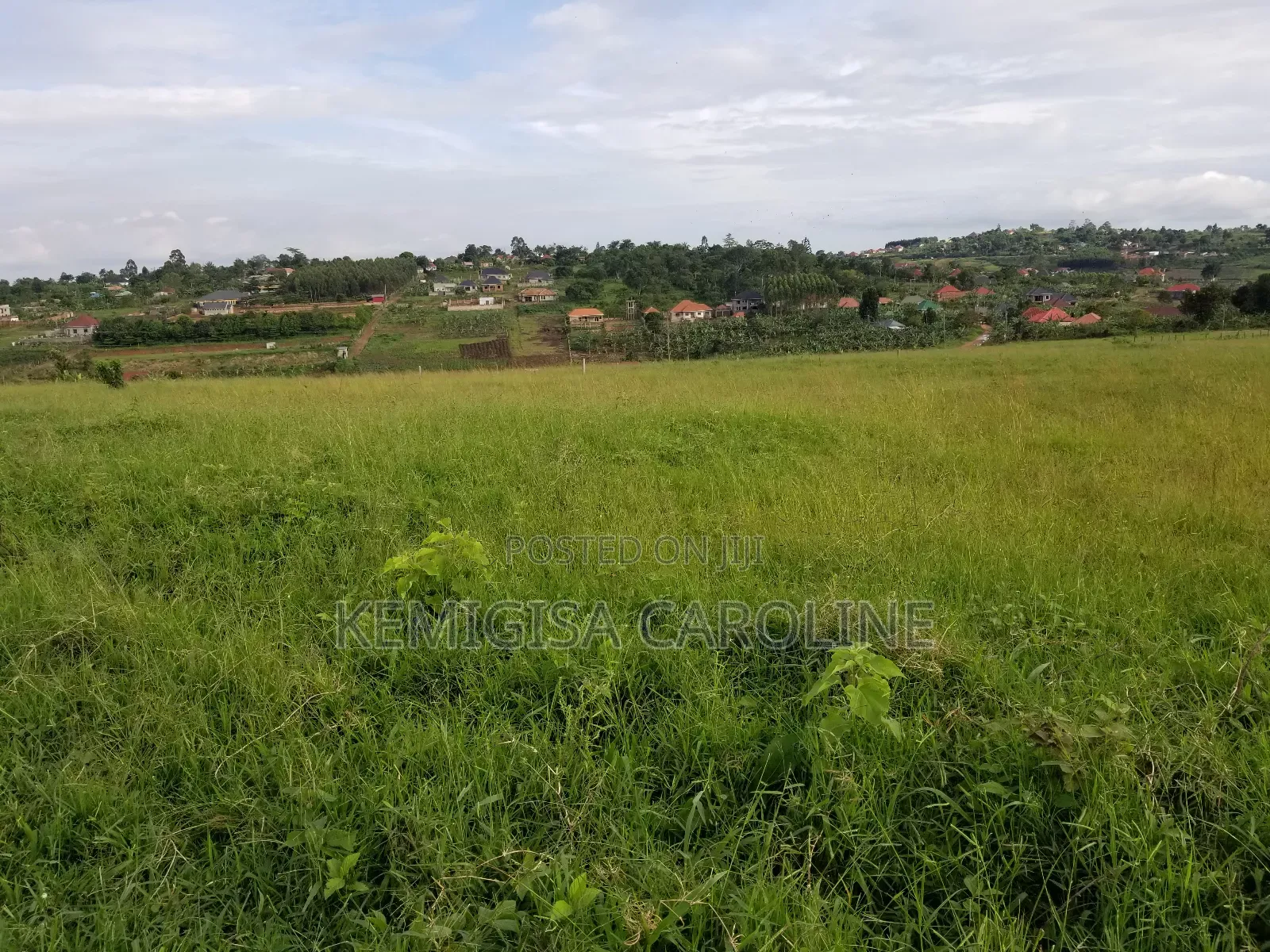 50*100ft Titled Plots For Sale In Bujjuuko in Wakiso / Wakiso