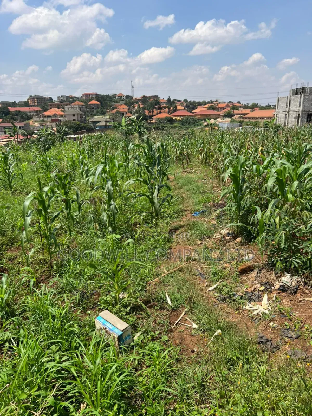 5 Acres of Land in Kiwanga Buto Bweyogerere in Central Division