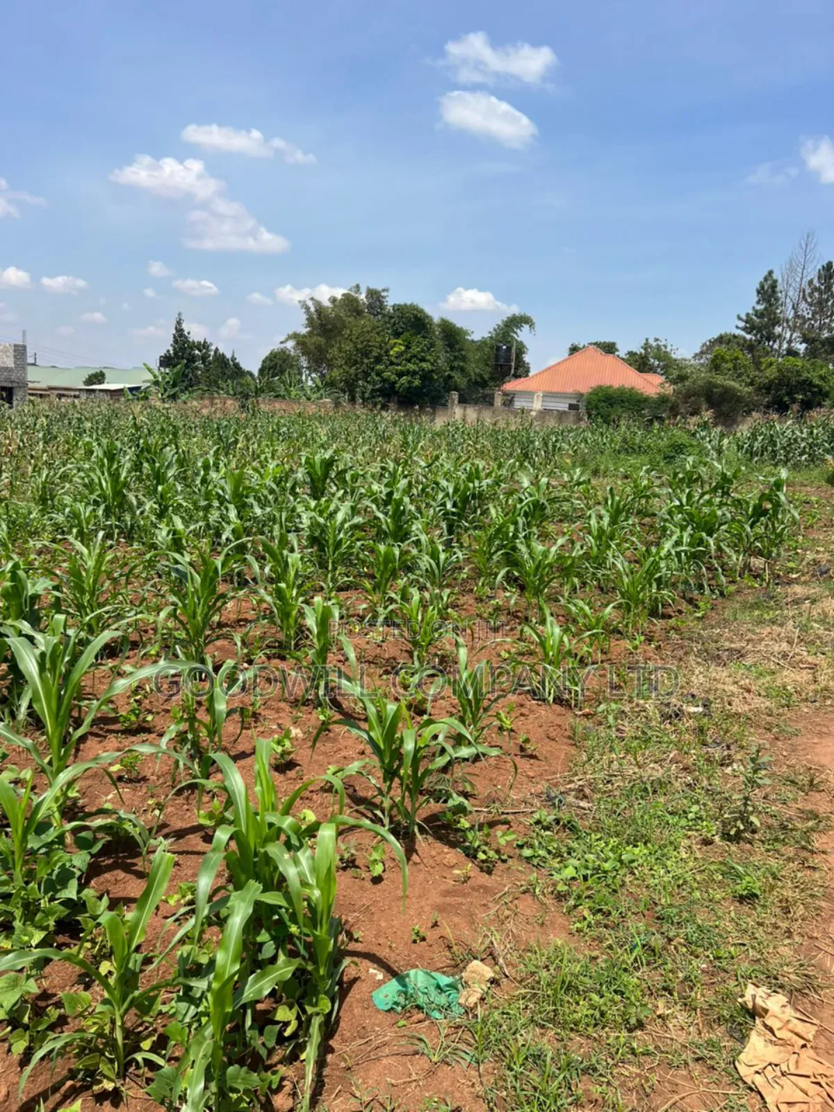 5 Acres of Land in Kiwanga Buto Bweyogerere in Central Division