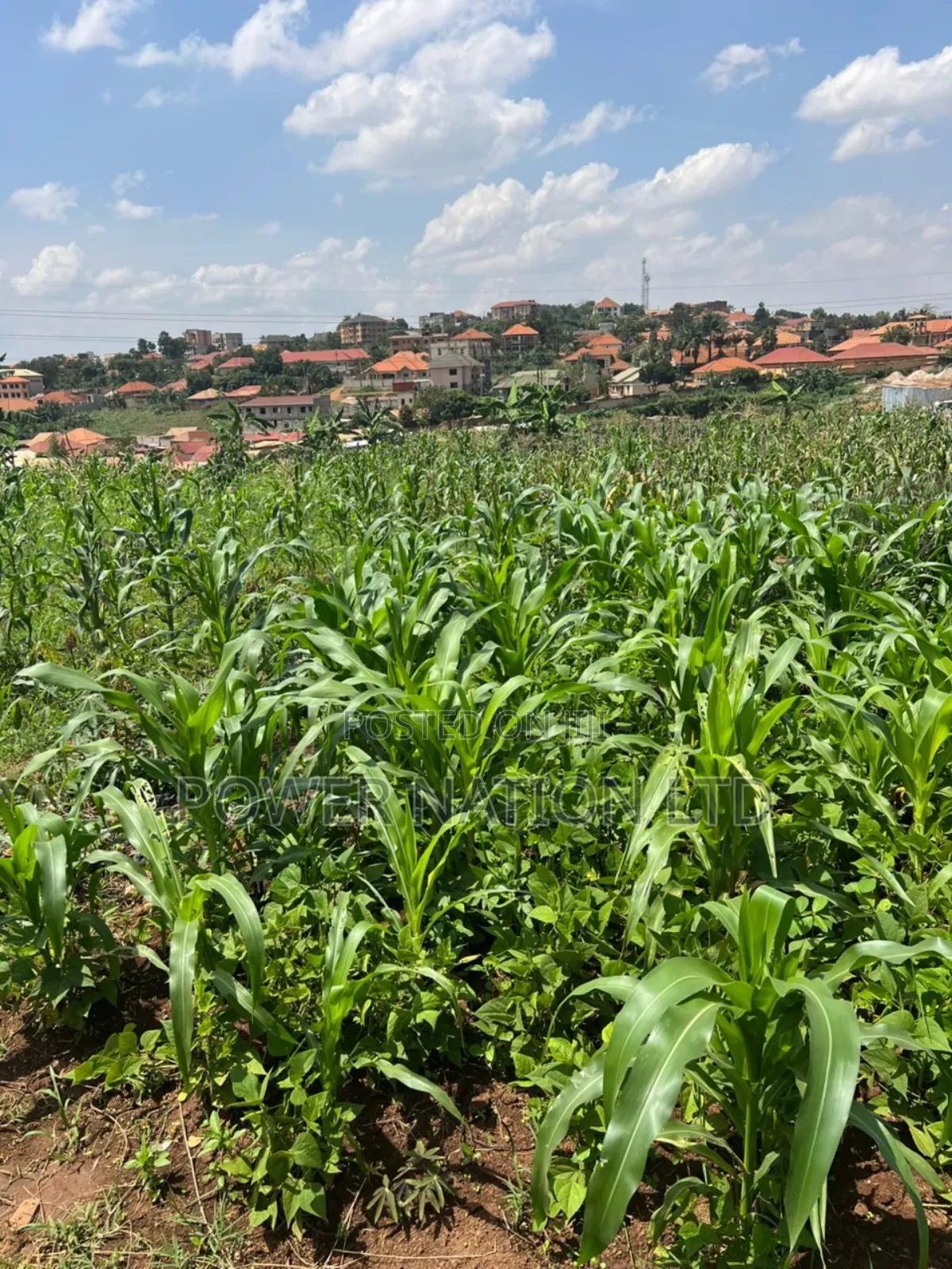 5 Acres of Land in Kiwanga Buto Bweyogerere in Central Division