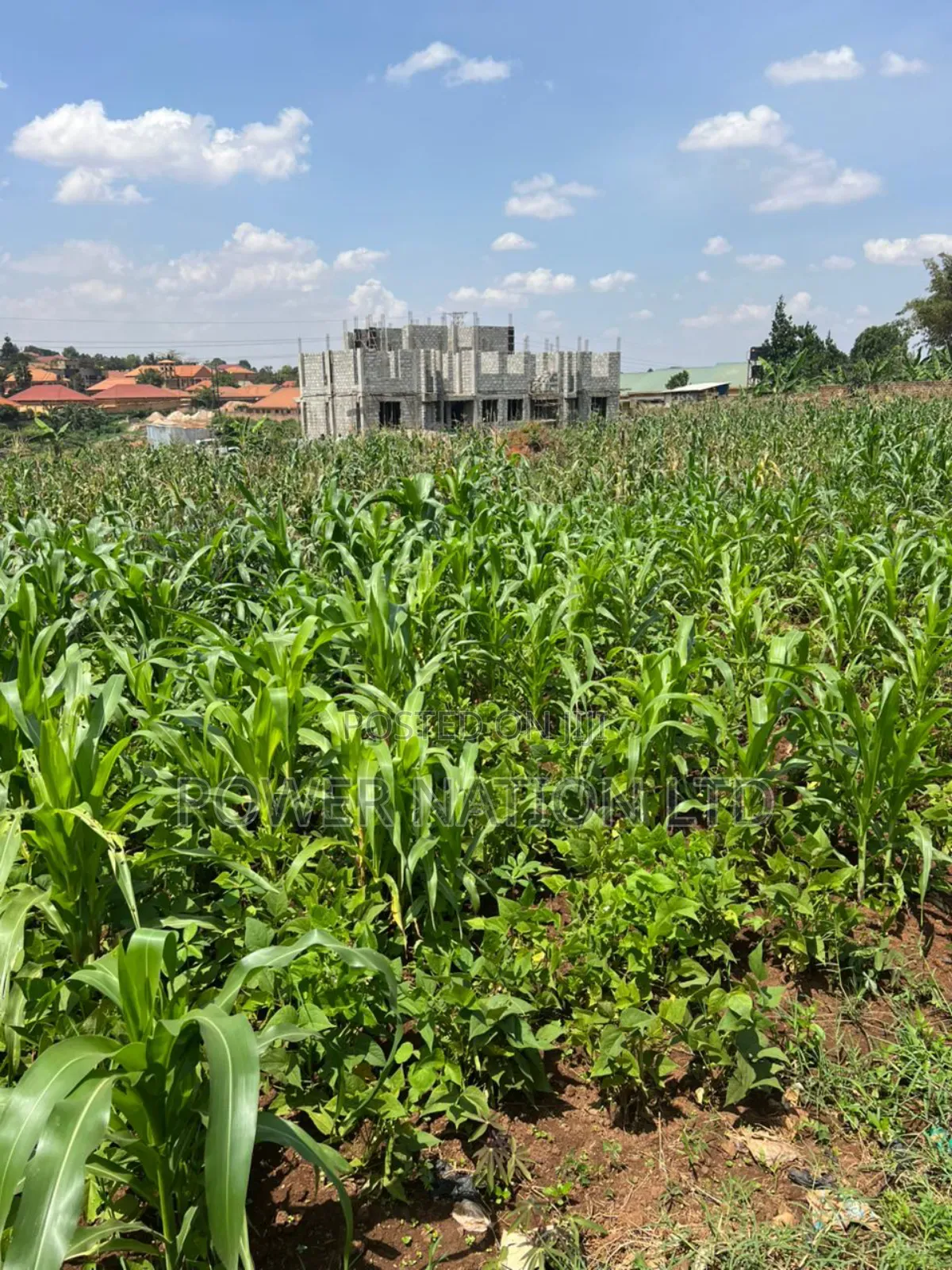 5 Acres of Land in Kiwanga Buto Bweyogerere in Central Division