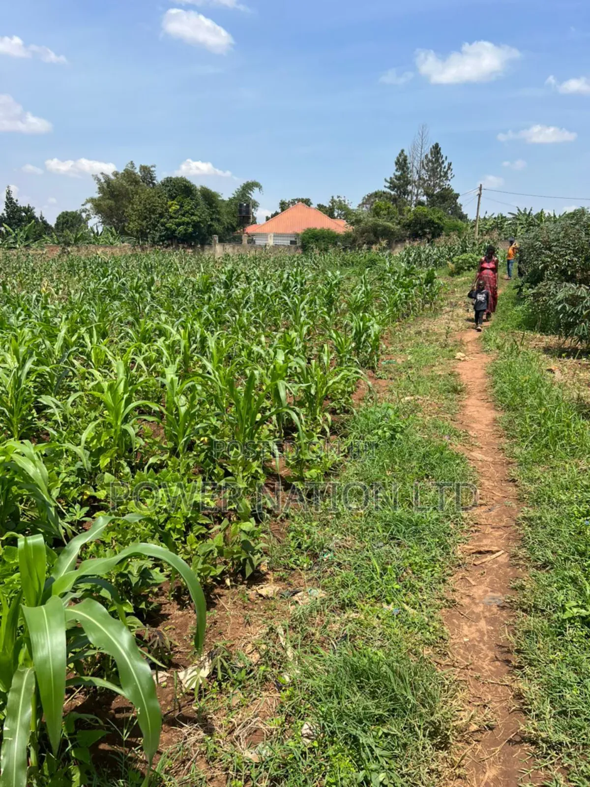 5 Acres of Land in Kiwanga Buto Bweyogerere in Central Division
