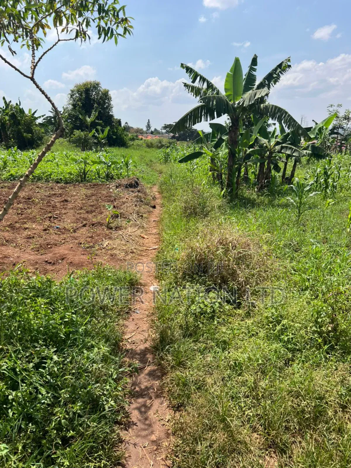 5 Acres of Land in Kiwanga Buto Bweyogerere in Central Division