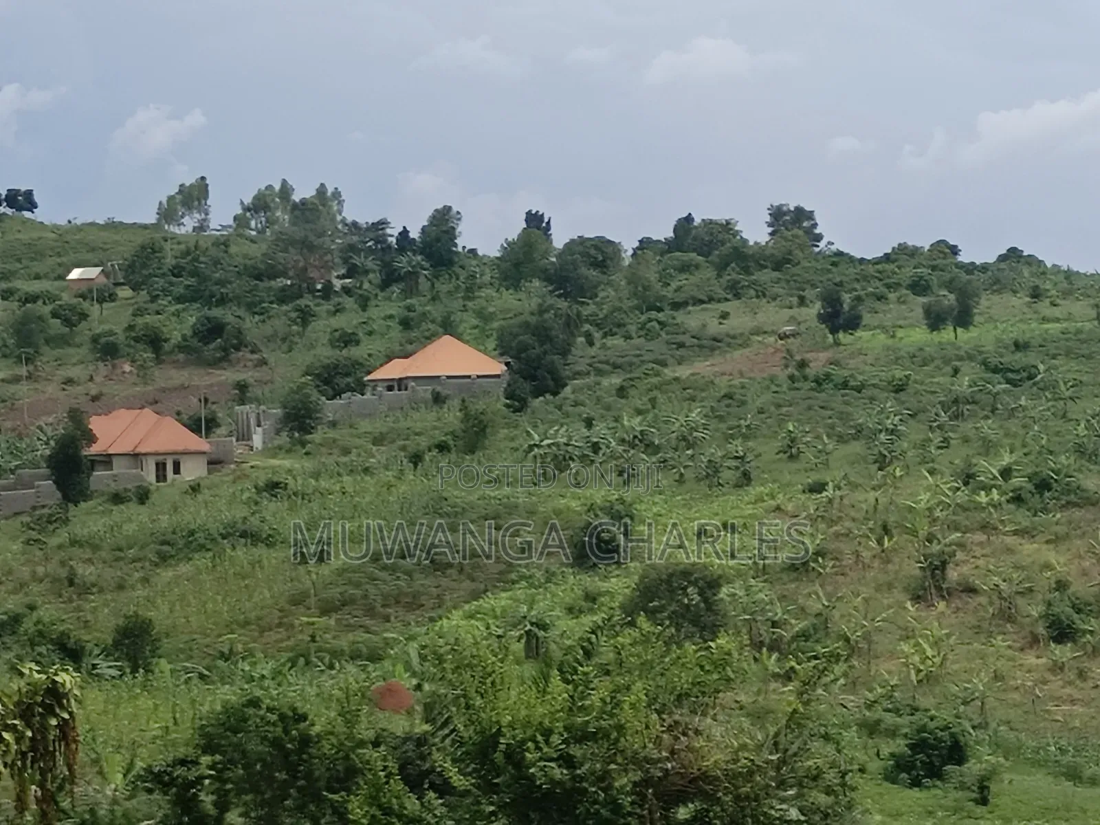 100b100ft on Sale in Kiwenda Luunga in Division A