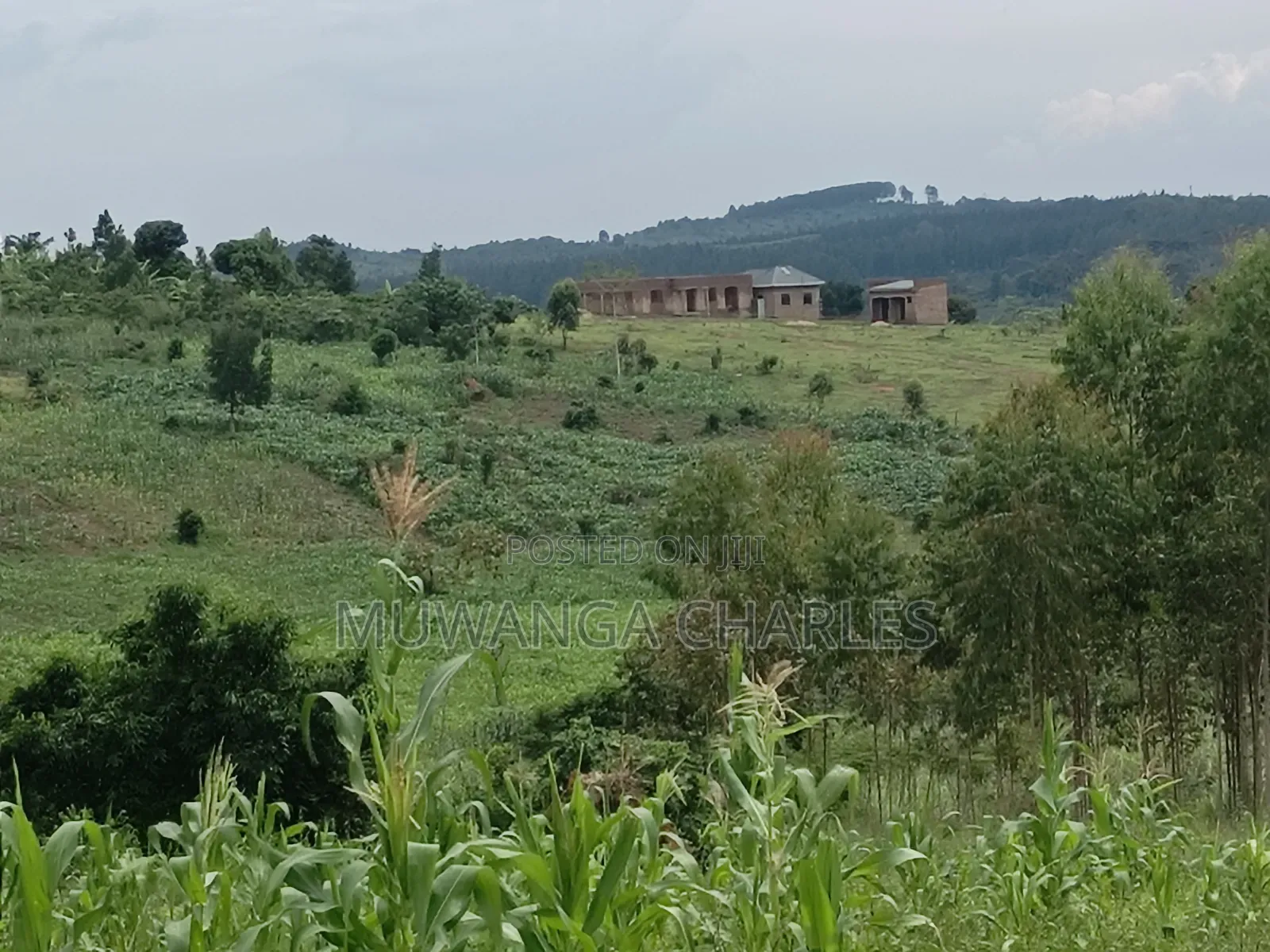 100b100ft on Sale in Kiwenda Luunga in Division A