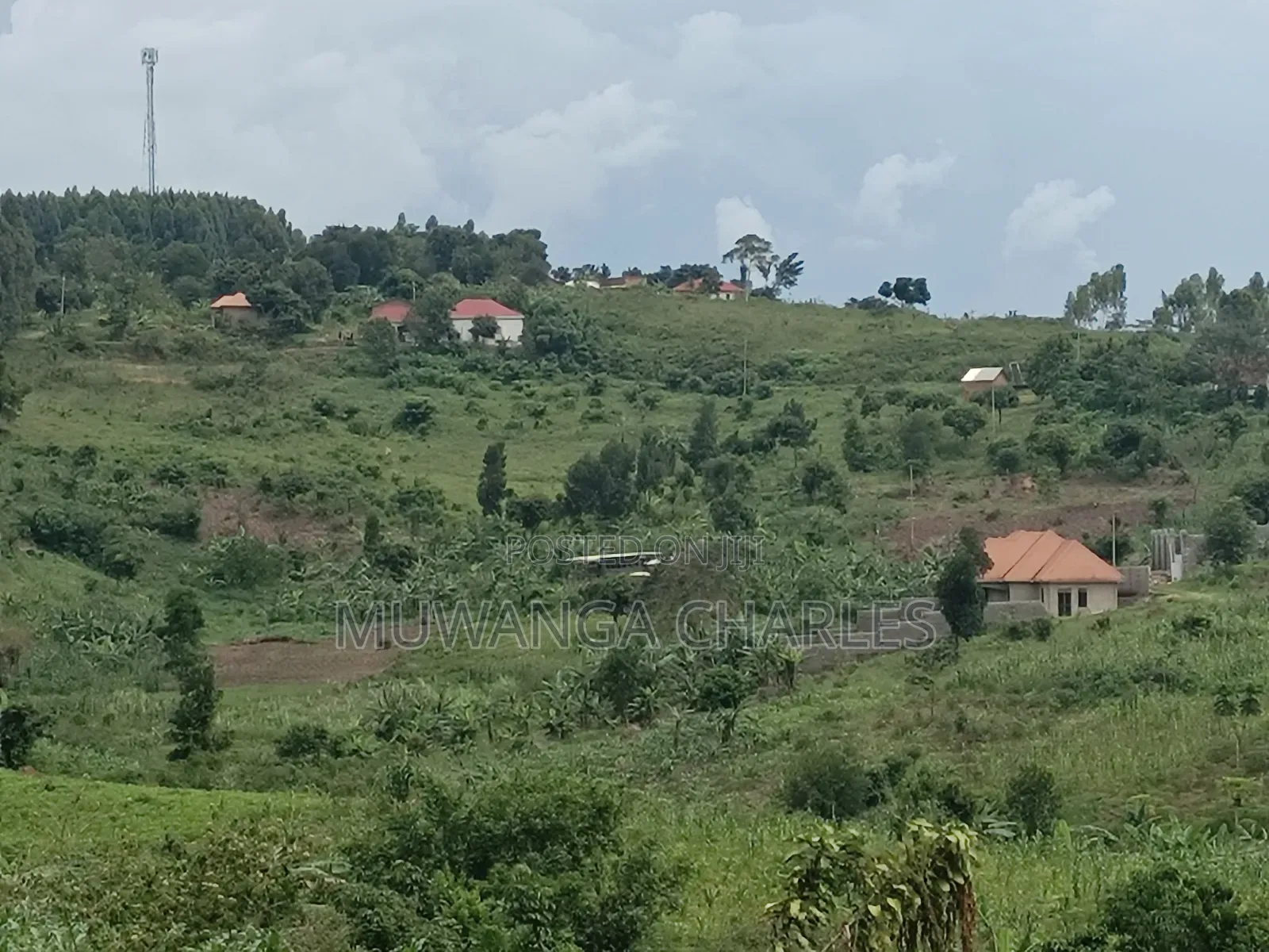 100b100ft on Sale in Kiwenda Luunga in Division A