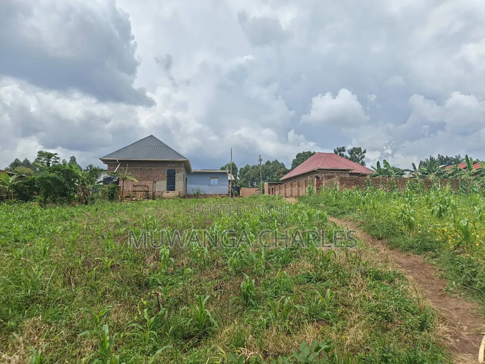 100b100ft on Sale in Kiwenda Luunga in Division A