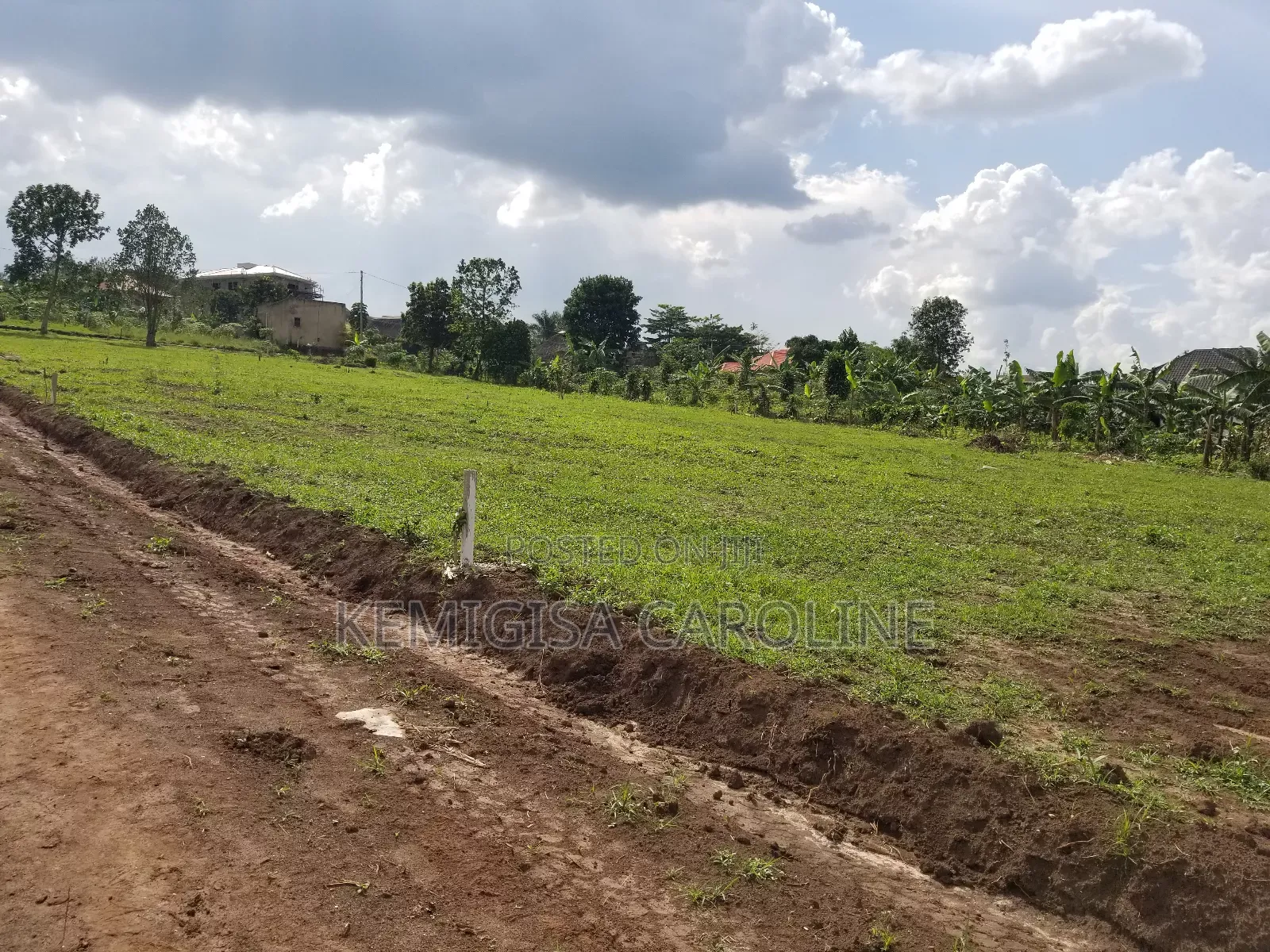 50 * 100 Ft Titled Plots for Sale in Buyala Near Masheda in Wakiso / Wakiso
