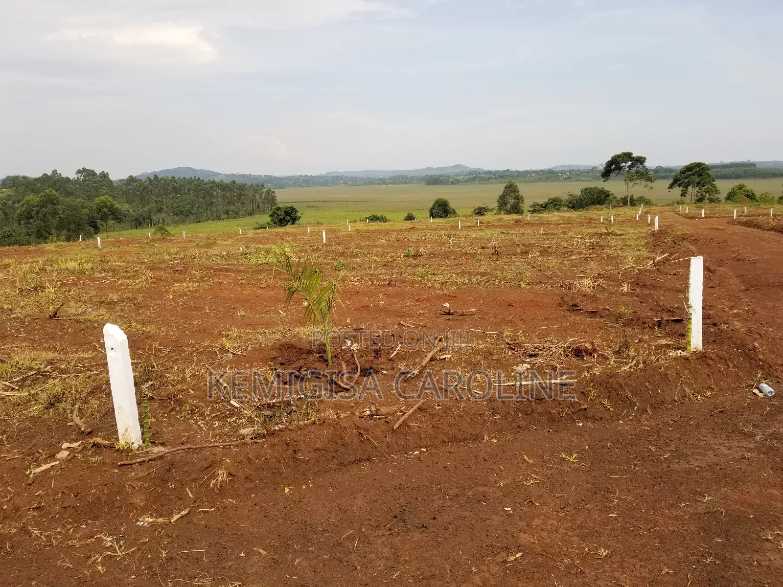 50 * 100 Ft Titled Plots in Konge in Wakiso / Wakiso