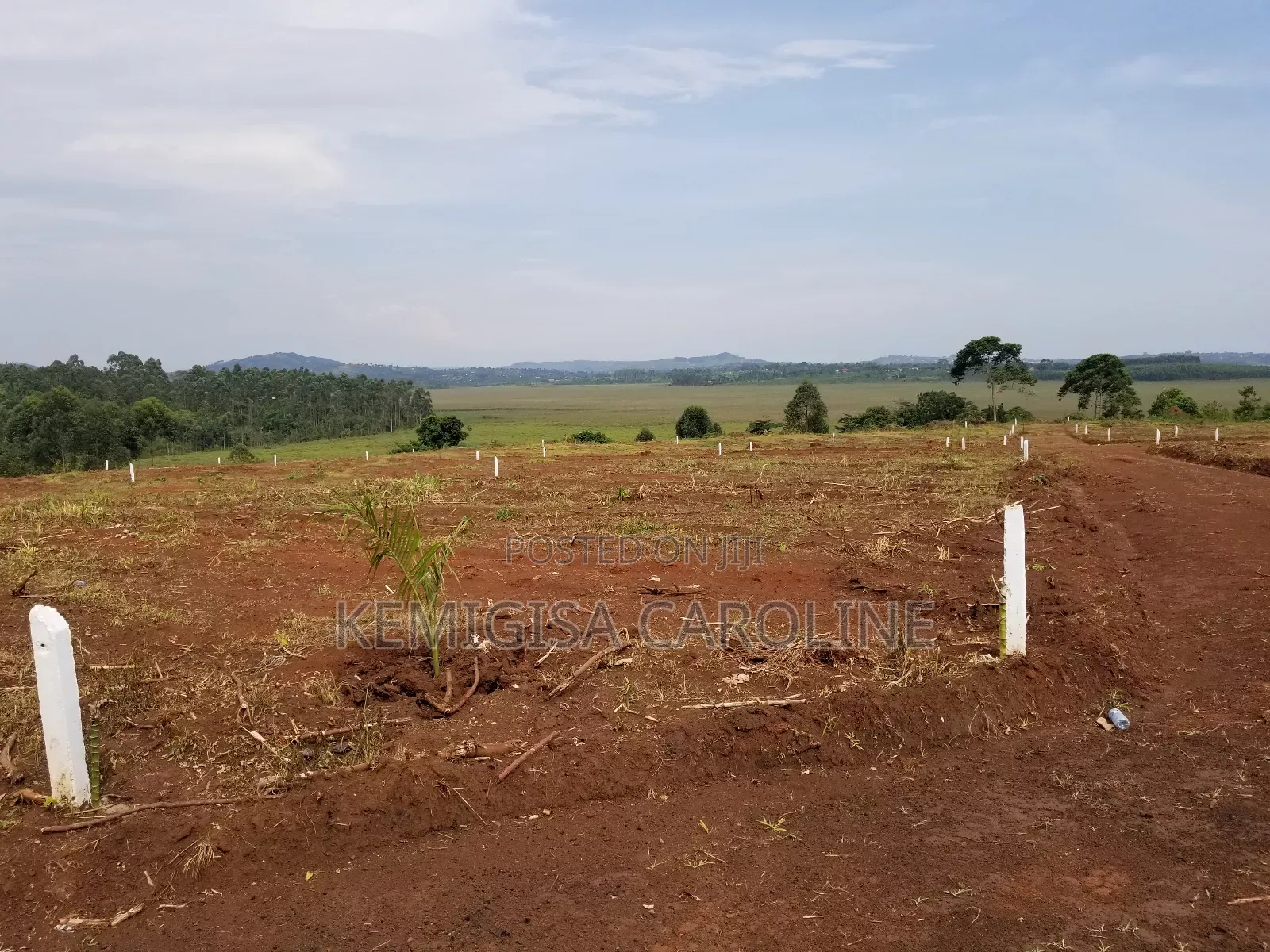 50 * 100 Ft Titled Plots in Konge in Wakiso / Wakiso