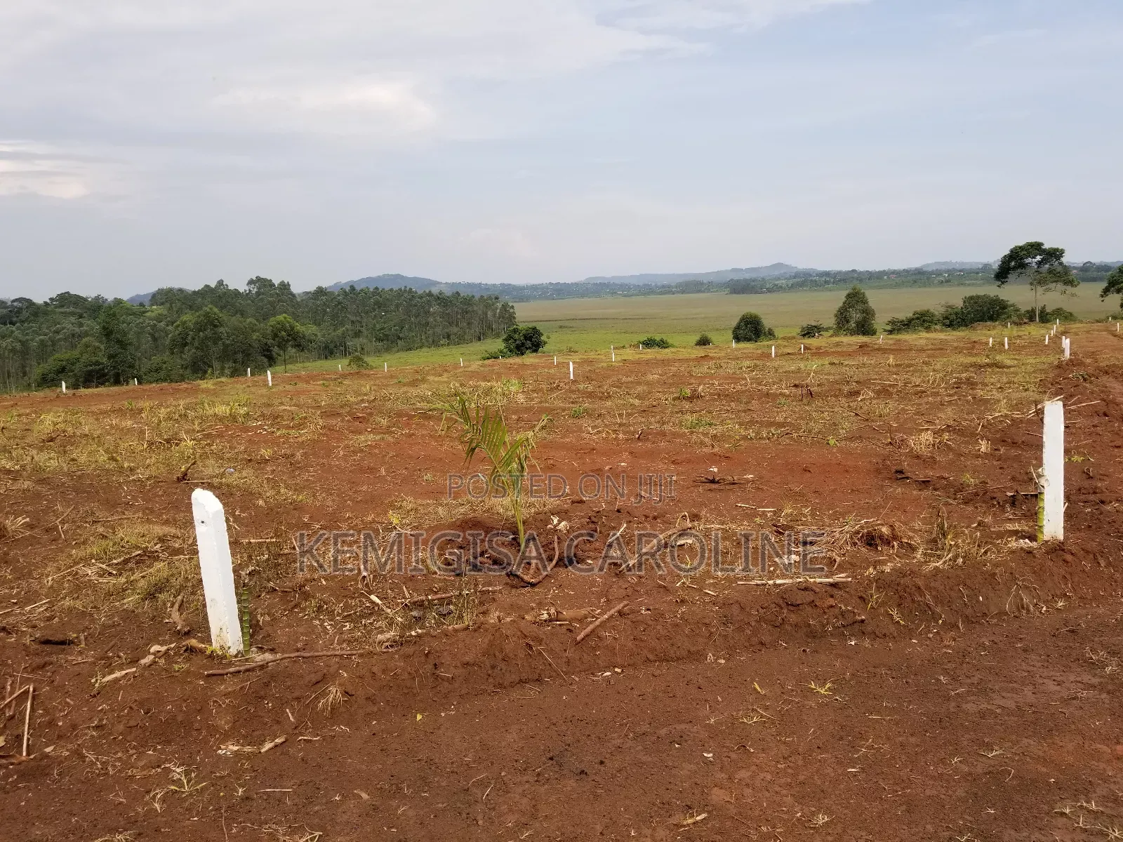 50 * 100 Ft Titled Plots in Konge in Wakiso / Wakiso