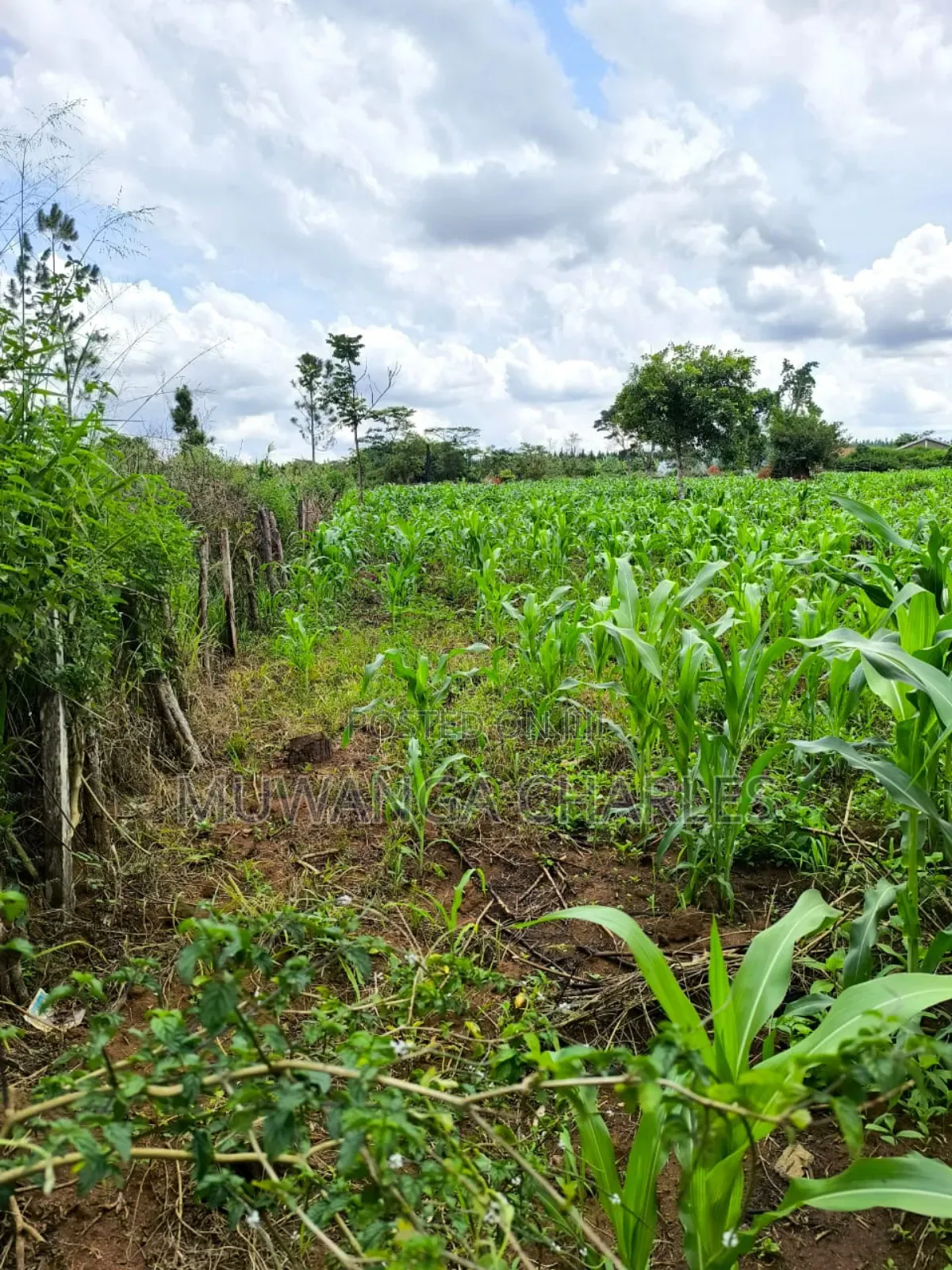 Land for Sale in Zirobwe Nakigoza in Luwero TC