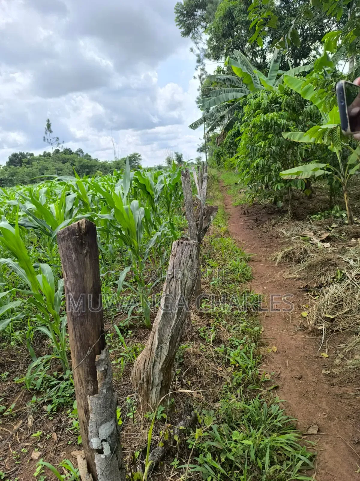 Land for Sale in Zirobwe Nakigoza in Luwero TC