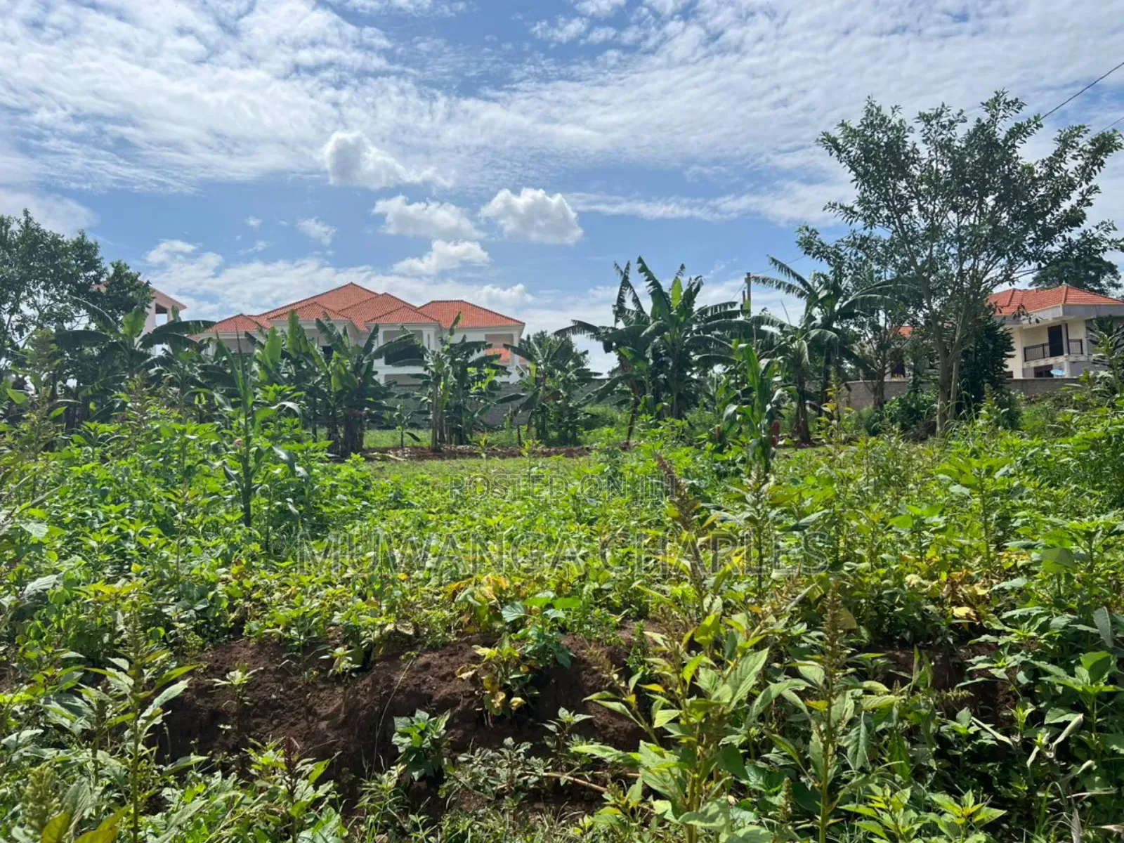 Plot on Sale in Buwate in Kira