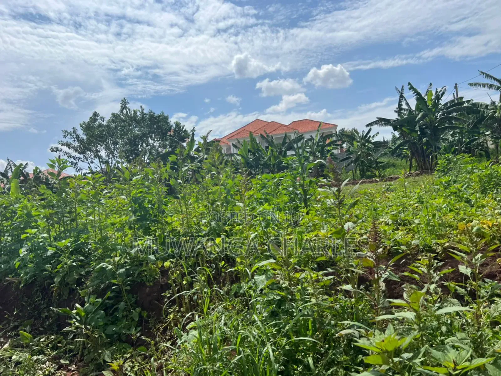 Plot on Sale in Buwate in Kira