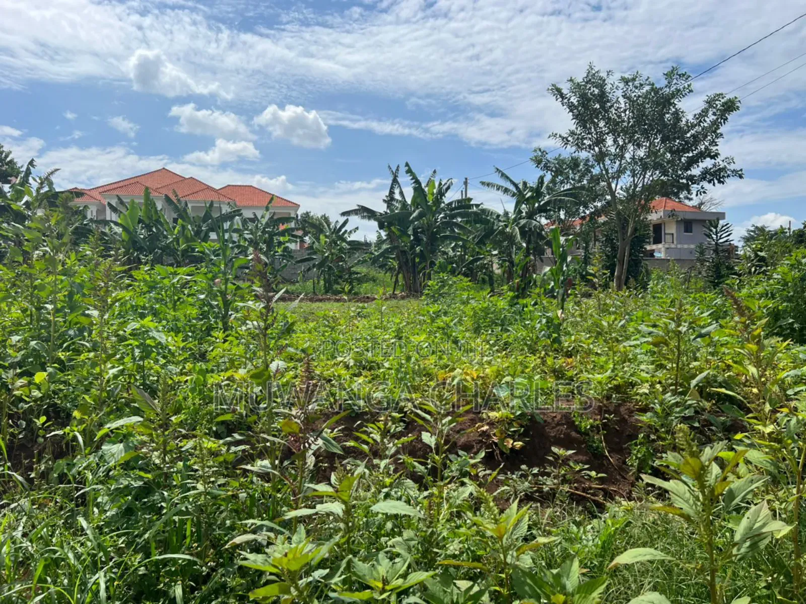 Plot on Sale in Buwate in Kira