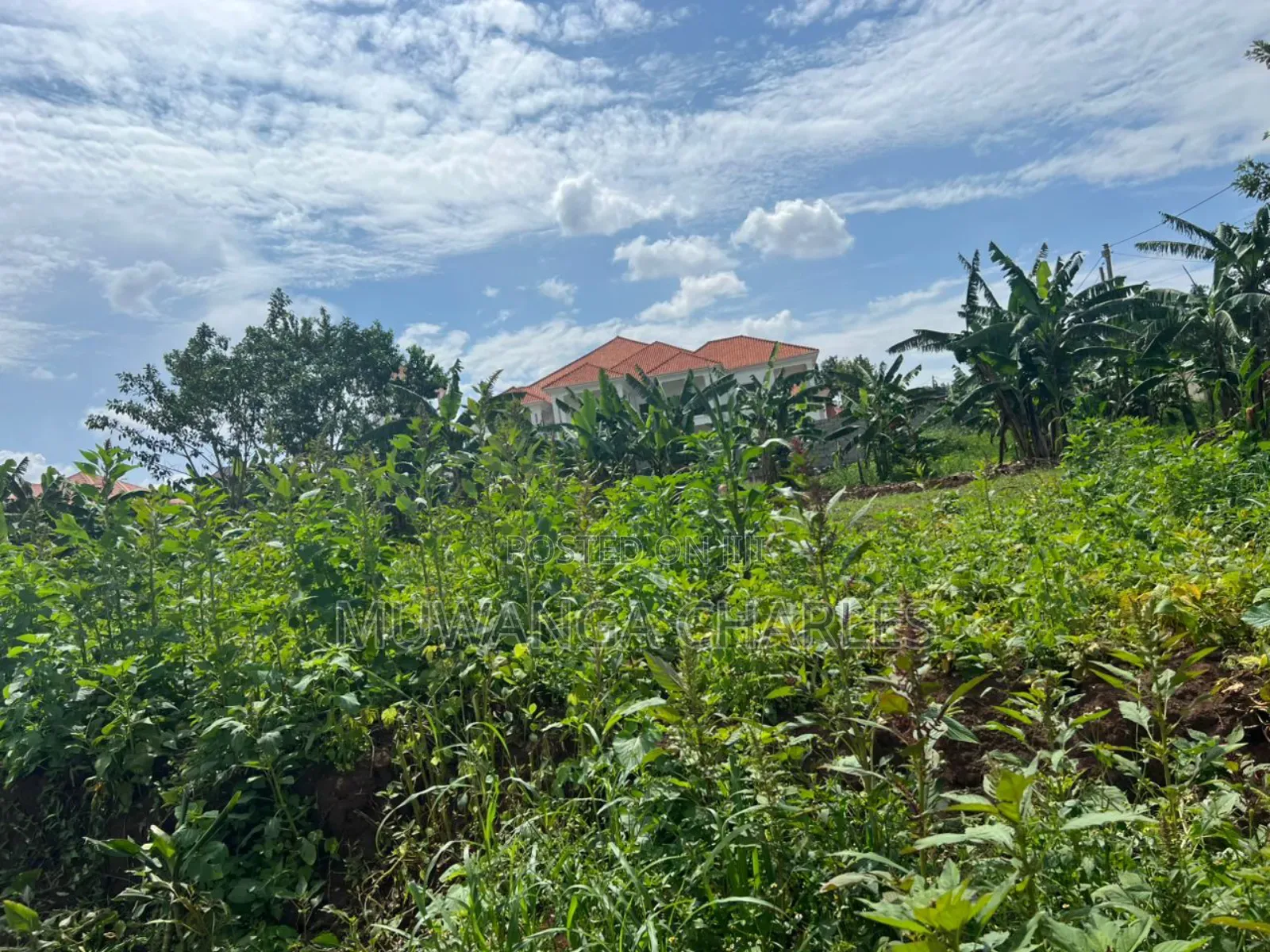 Plot on Sale in Buwate in Kira