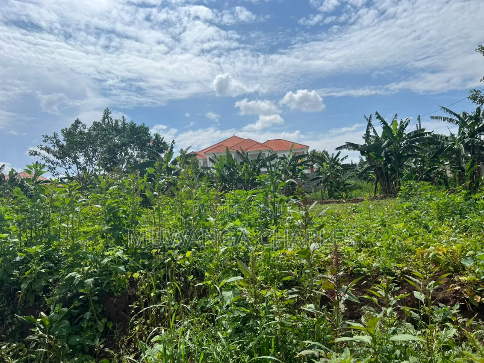 Plot on Sale in Buwate in Kira