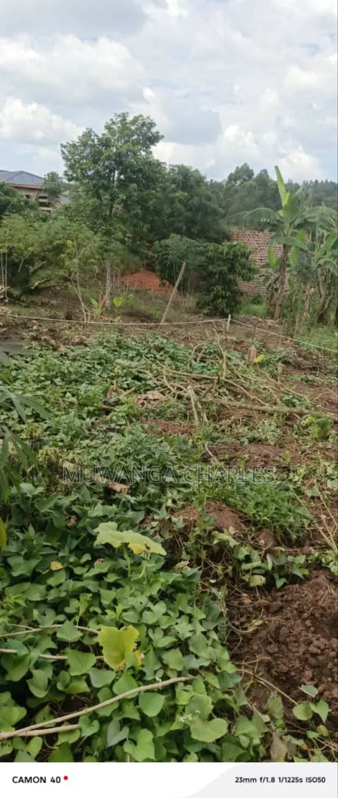 Plots for Sale in Kiwenda Phase 2 in Division A