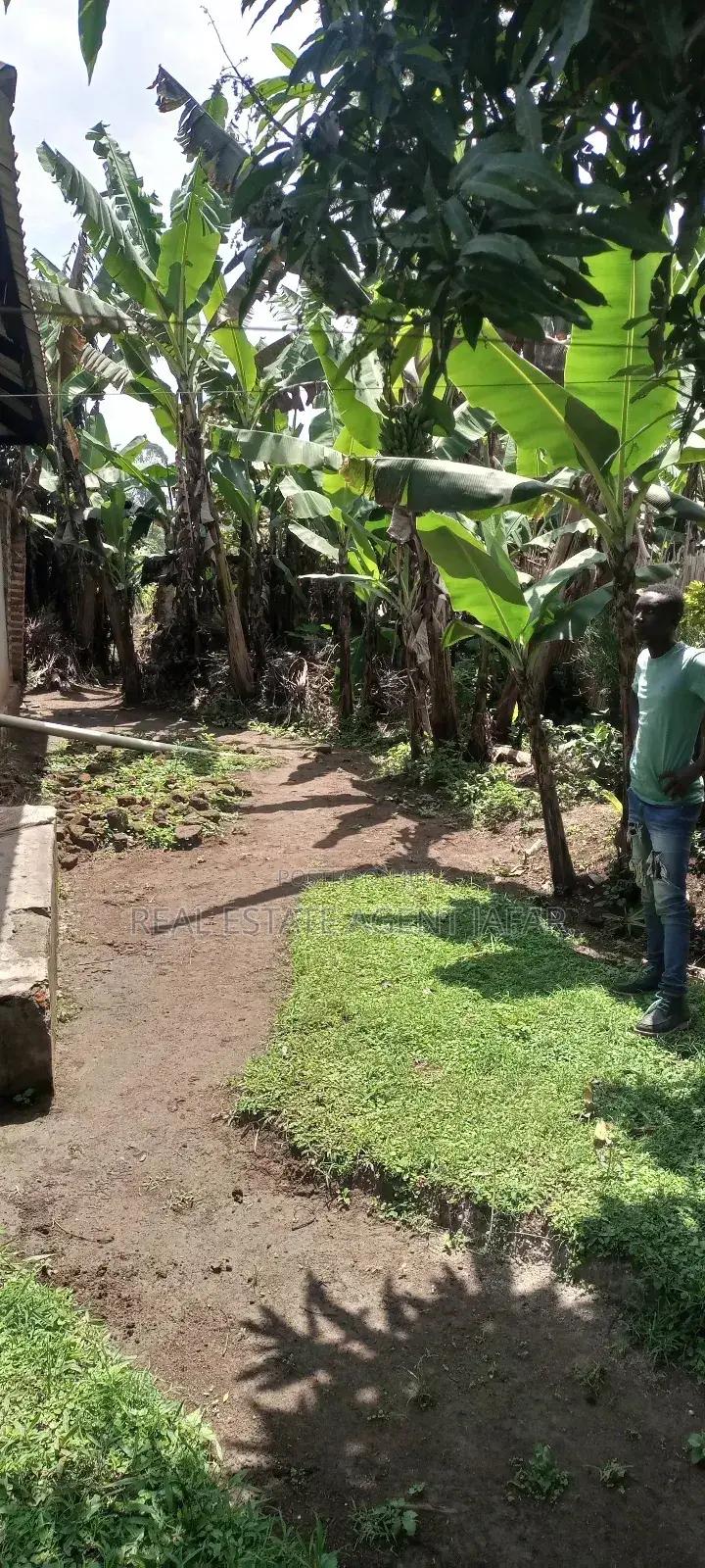 Furnished 3bdrm House in Kabalore for sale in Kabalore
