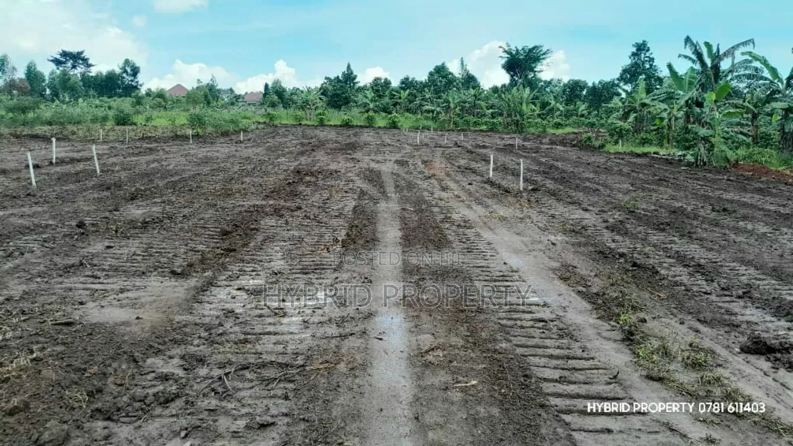 Prime Plots For Sale At Nsangi Kulya Show Land Estate~Masaka Road 1 in Nsangi