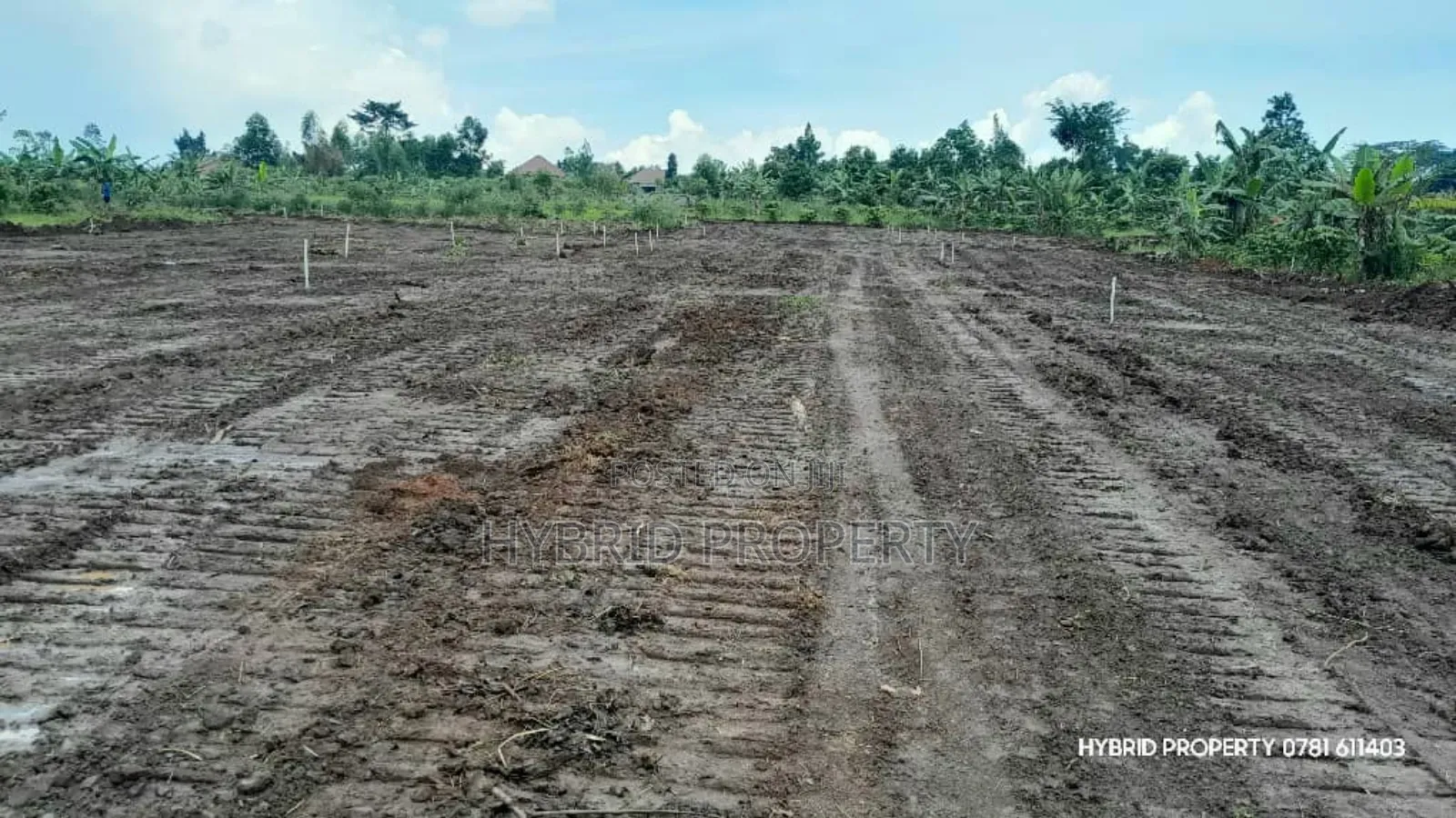Prime Plots For Sale At Nsangi Kulya Show Land Estate~Masaka Road 1 in Nsangi