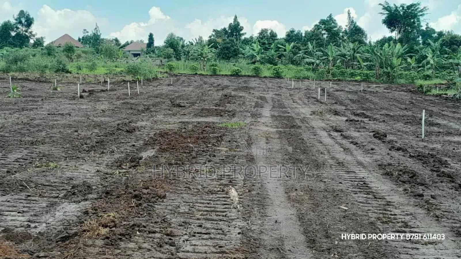 Prime Plots For Sale At Nsangi Kulya Show Land Estate~Masaka Road 1 in Nsangi