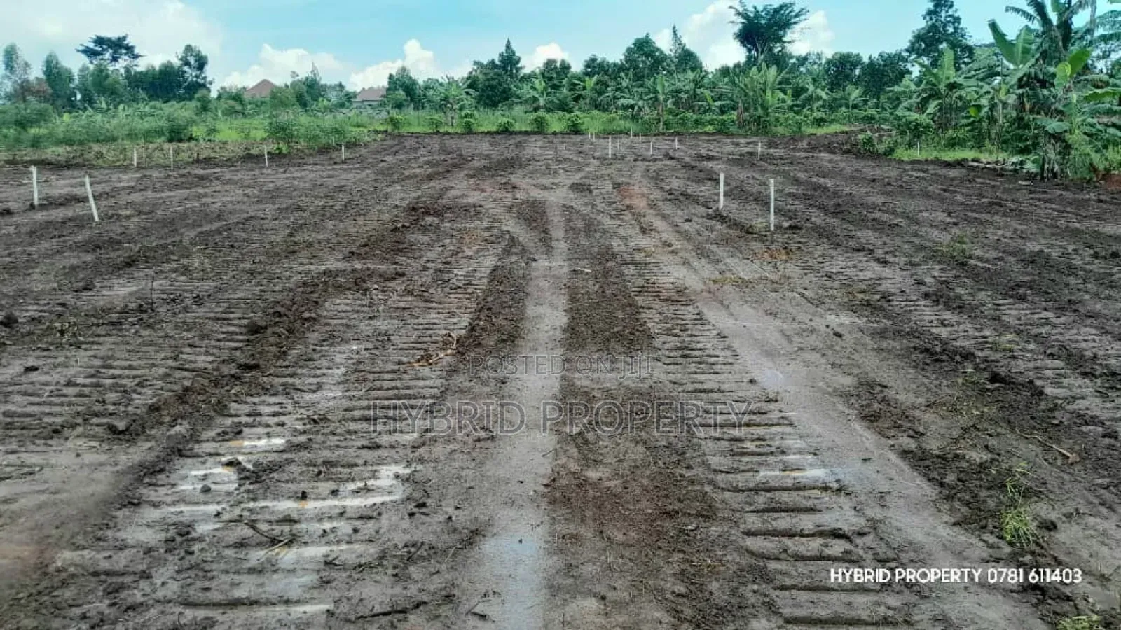 Prime Plots For Sale At Nsangi Kulya Show Land Estate~Masaka Road 1 in Nsangi