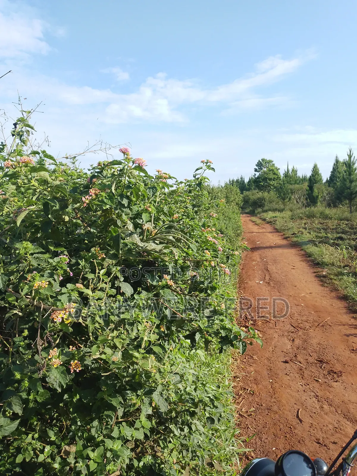 10 Acres of Land for Sale at 30m Per Acre in Nkokonjeru in Ntenjeru / Mukono