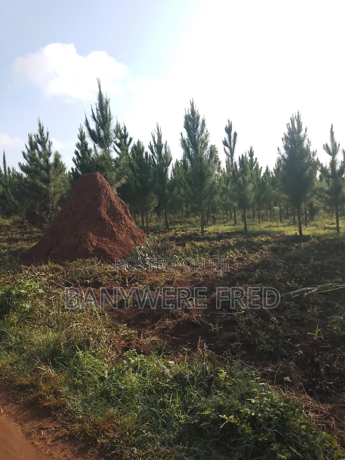 10 Acres of Land for Sale at 30m Per Acre in Nkokonjeru in Ntenjeru / Mukono