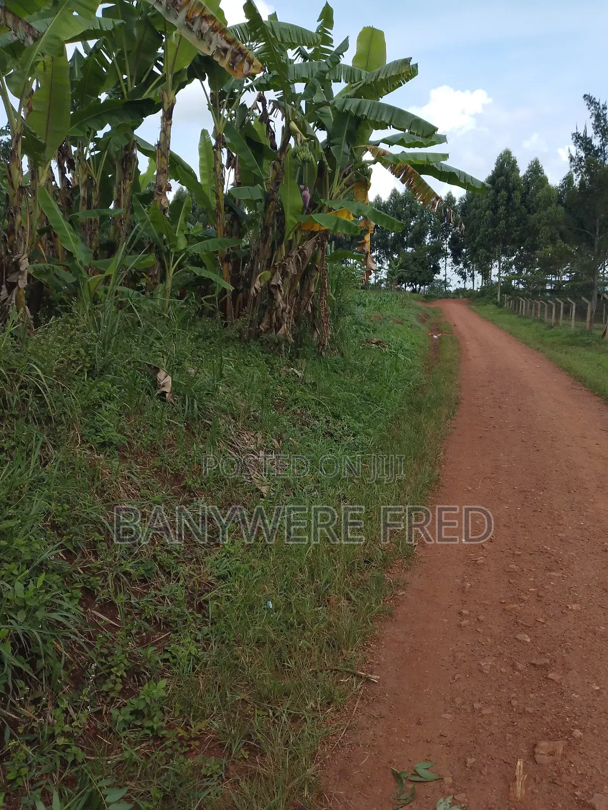 5 Acres on Sale in Namilyago Mukono in Mukono TC