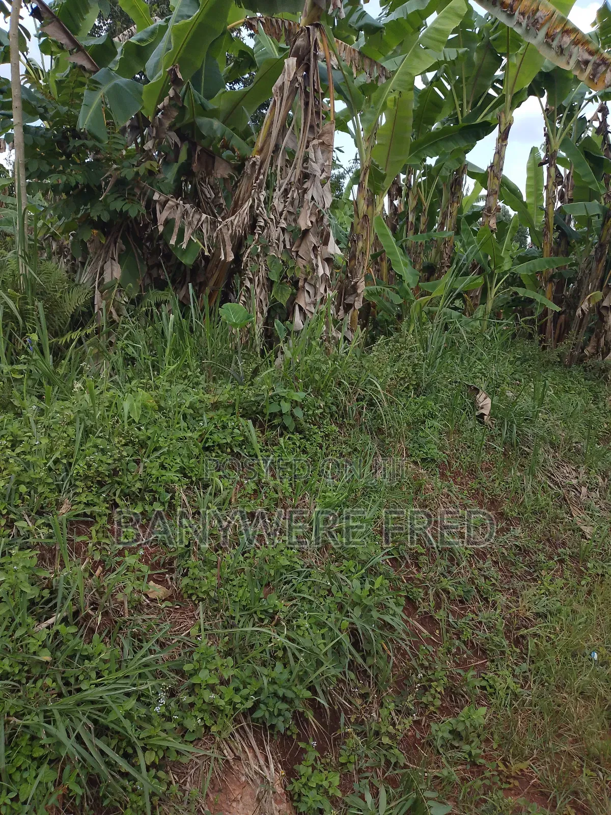 5 Acres on Sale in Namilyago Mukono in Mukono TC