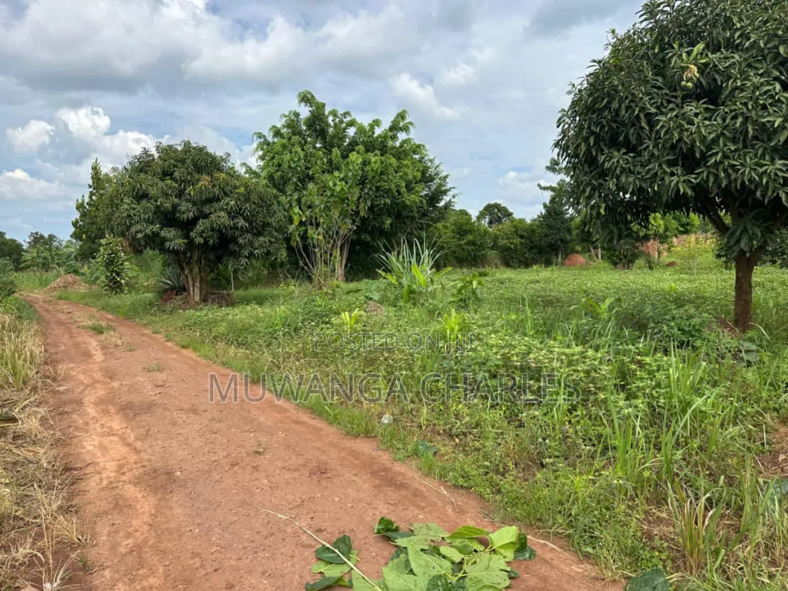 Plots on Sale in Matugga Kavule in Division A