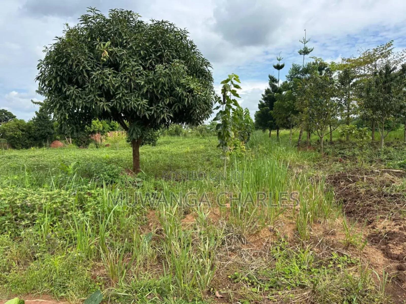 Plots on Sale in Matugga Kavule in Division A