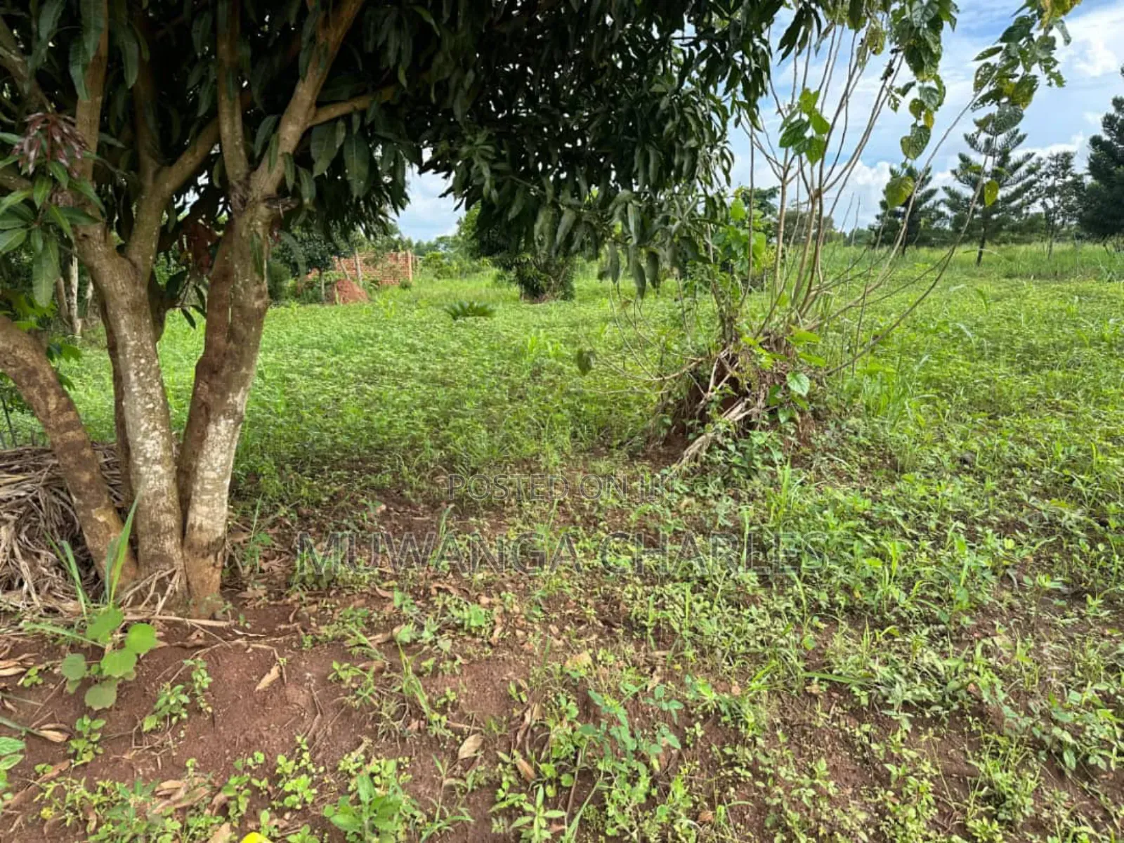 Plots on Sale in Matugga Kavule in Division A