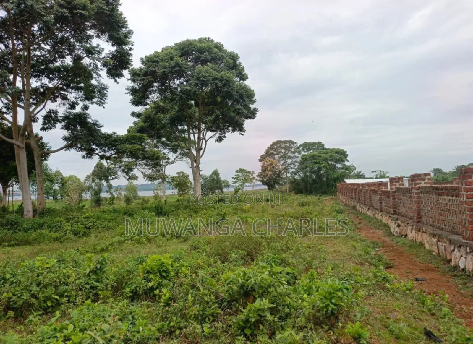 Plots on Sale in Matugga Kavule in Division A