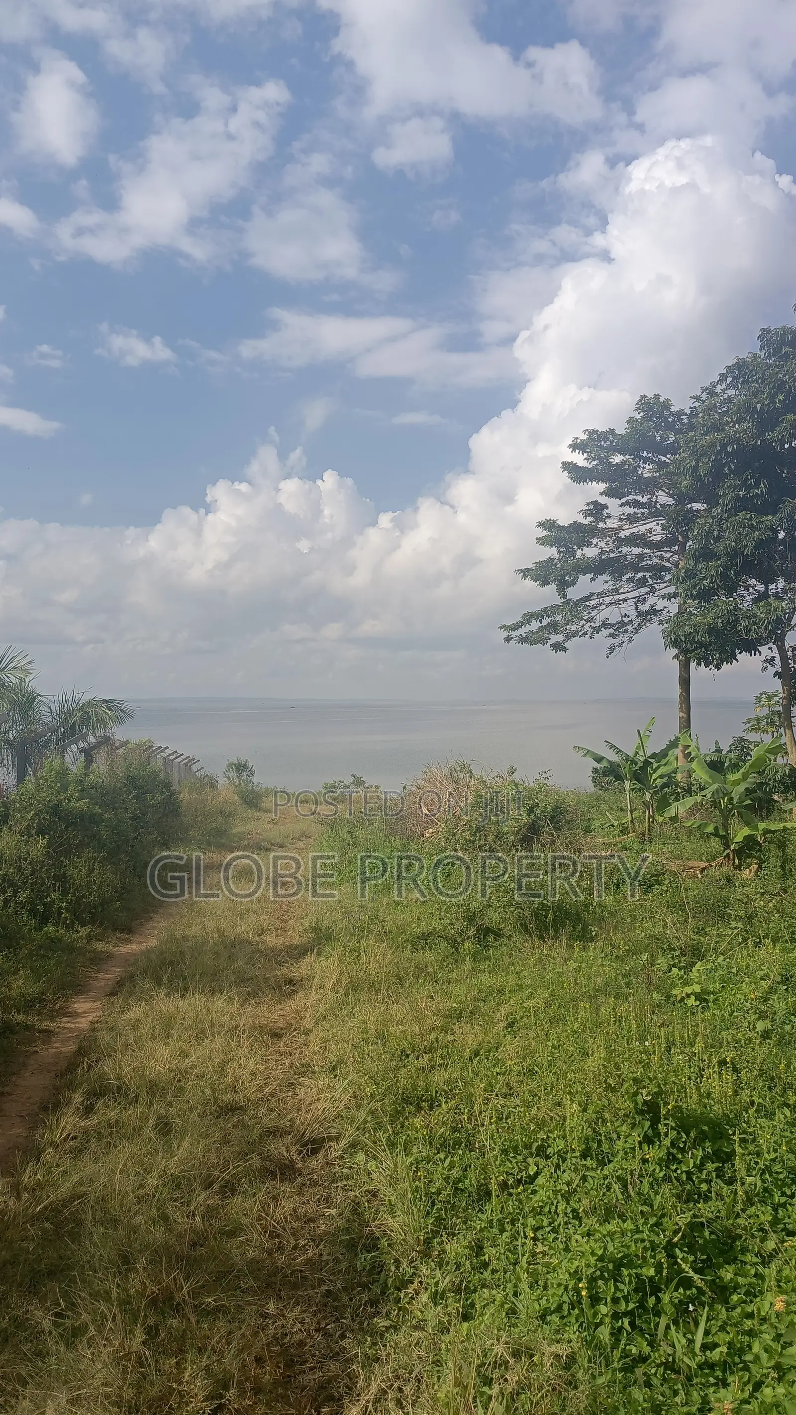 100 Acres of Farm Land for Sale in Kayunga Touching the River. in Bbaale