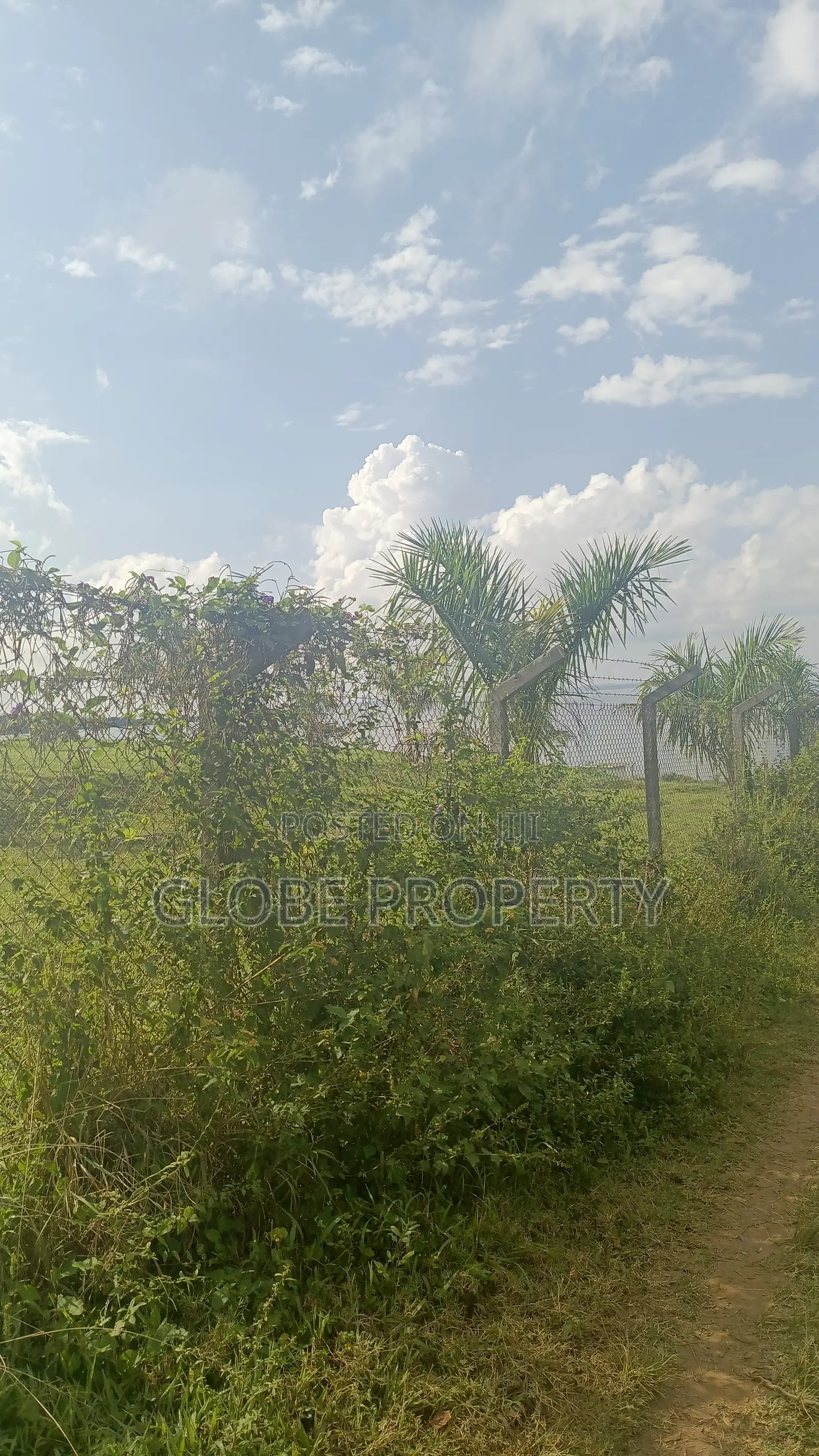 100 Acres of Farm Land for Sale in Kayunga Touching the River. in Bbaale
