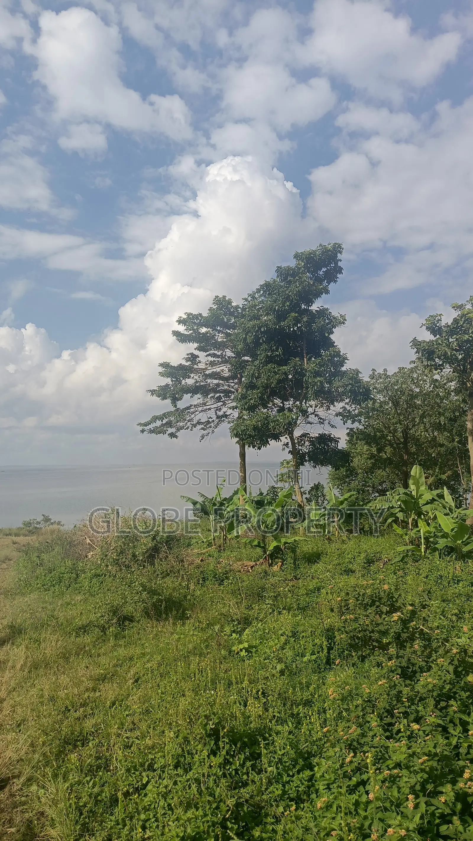 100 Acres of Farm Land for Sale in Kayunga Touching the River. in Bbaale