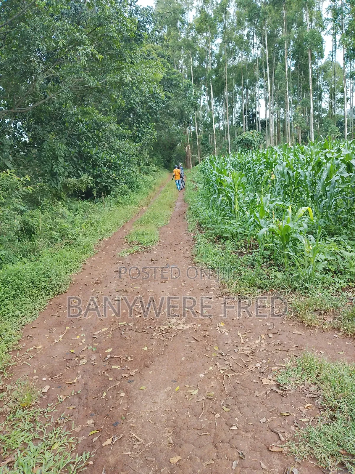 50/100 Plot for Sale in Sonde Tranding Centre in Goma